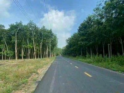Giá ngộp thở DH 513 xã Vĩnh Hòa, Phú Giáo. 0