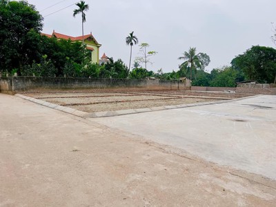 Chính chủ bán lô đất 50m2 ngà ub phường hoà nghĩa - quận dương -hải phòng 0