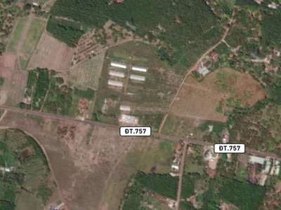 Bán Lô Đất Nền Trục Đường Chính Thanh Hương - Bình Phước 2