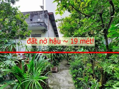 215m2/13 tỷ, 104/8 Nguyễn Thái Sơn, Q. GV, Nhà vườn ngay BV.175. 1