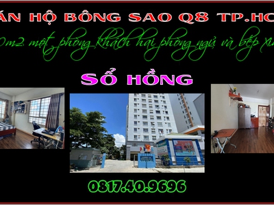 Bán rẻ căn hộ bông sao sổ hồng 60m2 q8 tp.hcm 0