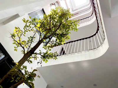 Bán nhà trọ 9 phòng đường Nguyễn Tư Nghiêm, quận 2 467