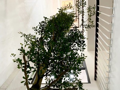 Bán nhà trọ 9 phòng đường Nguyễn Tư Nghiêm, quận 2 607