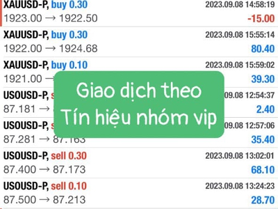 Nhóm tín hiệu vàng, dầu 0