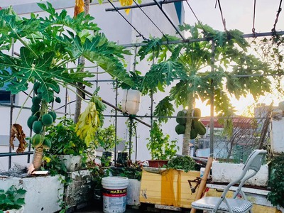 Nhà ở có lộc chuyển đổi nhà to hơn vị trí phố triều khúc dt: 45m, xây 4 tầng 4 phòng ngủ, nhà nở 3