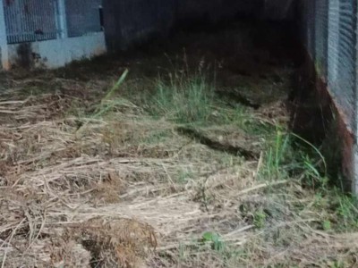 Bán nhà trọ 9 phòng đường Nguyễn Tư Nghiêm, quận 2 1703