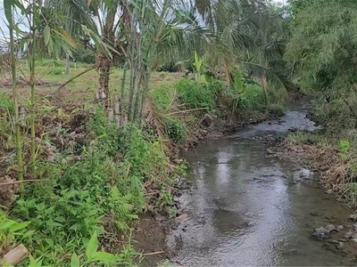 Bán nhà trọ 9 phòng đường Nguyễn Tư Nghiêm, quận 2 1733