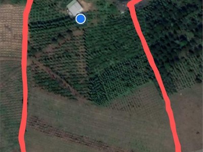 Bán nhà trọ 9 phòng đường Nguyễn Tư Nghiêm, quận 2 1734