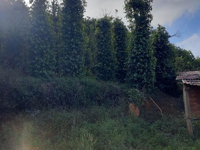 Bán nhà trọ 9 phòng đường Nguyễn Tư Nghiêm, quận 2 1735