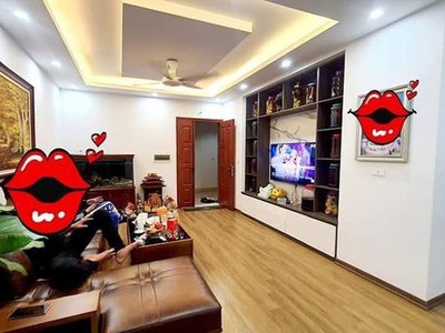 Căn hộ 70m2 2PN 2WC Mỹ Đình cạnh Kengnam 72 tầng full nội thất 1