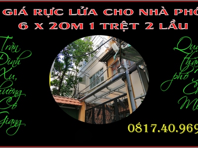 CC cho thuê Biệt thự 1246