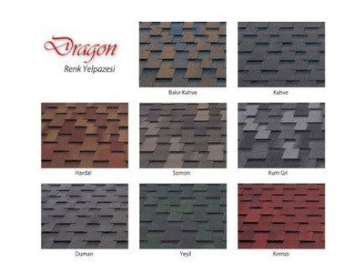 Nhà đẹp biệt thự lợp ngói bitum phủ đá nhập khẩu từ châu âu 9