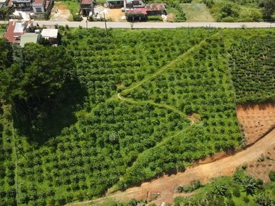 Chính chủ cho thuê CH 3 tầng số 39 mặt phố hoàng cầu 638