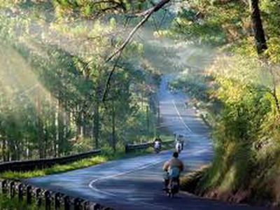 Chính chủ cho thuê CH 3 tầng số 39 mặt phố hoàng cầu 104