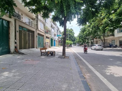 Liền kề văn phú, 90m đường 19m, 11.65 tỷ 0