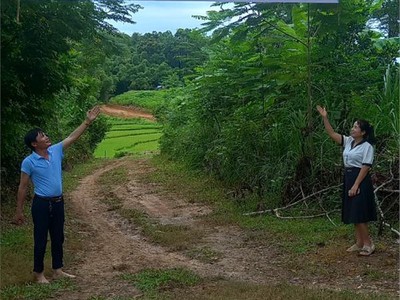 Chính chủ cho thuê CH 3 tầng số 39 mặt phố hoàng cầu 625