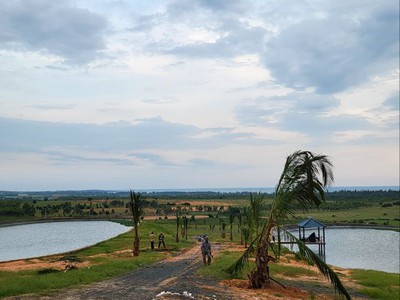 Bán nhanh lô đất view biển 3900m2 Tuy Phong, ngay QL1A vào chỉ 90m 0