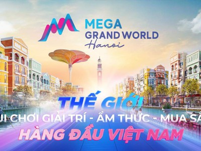 Chính chủ cho thuê CH 3 tầng số 39 mặt phố hoàng cầu 1737