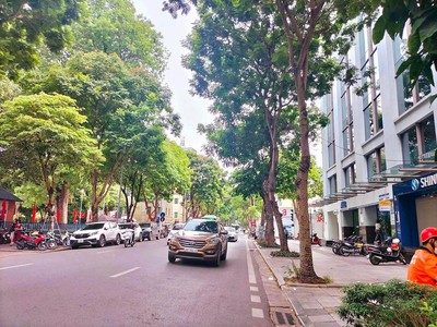 Chính chủ cho thuê CH 3 tầng số 39 mặt phố hoàng cầu 2227