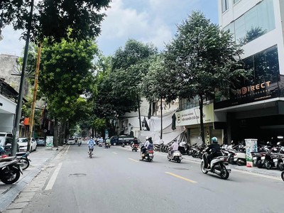 Chính chủ cho thuê CH 3 tầng số 39 mặt phố hoàng cầu 2217
