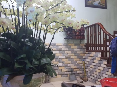 Chính chủ cho thuê CH 3 tầng số 39 mặt phố hoàng cầu 2174
