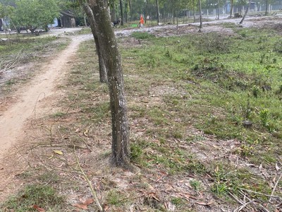 Chính chủ cho thuê CH 3 tầng số 39 mặt phố hoàng cầu 2363