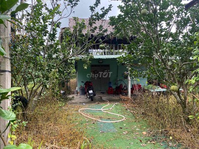 Bán nhà vườn chính chủ đường 750 xã an nhơn tây, củ chi, tp. hồ chí minh 2