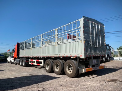Xe đầu kéo Sitrak tại Bình Định 4