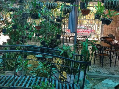 Nhà đẹp Ninh Thuận giá rẻ full nội thất gỗ sân vườn cách TP. Đà Lạt 80km 5