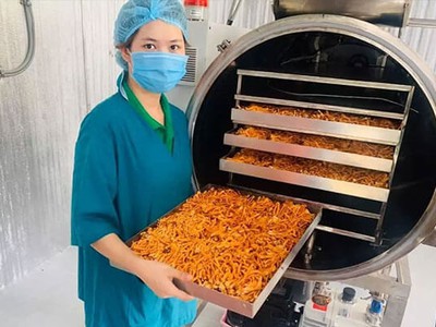 Dược liệu sẽ giữ được dược tính tốt hơn nếu sử dụng phương pháp sấy khô nào 0