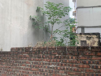 Đất quỳnh đô   45m2 mt4m   ngõ thông, ô tô, kinh doanh 2