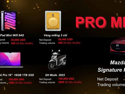 Tuyển đại lí đối tác hợp tác cùng phát triển sàn FPG 0