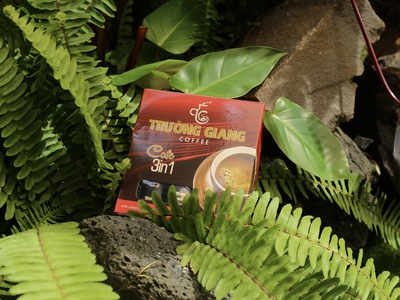 Cà phê Arabica cảm nhận thế nào 0