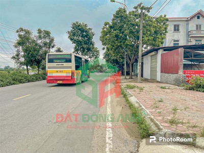 Đấu giá đình tràng dục tú đông anh ngày 23/9/2023 2