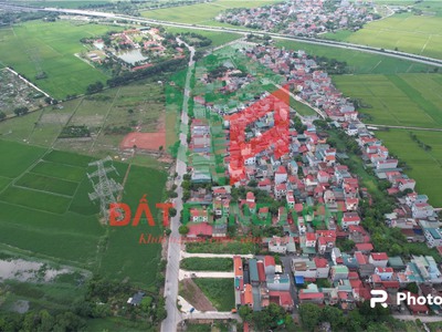 Đấu giá đình tràng dục tú đông anh ngày 23/9/2023 4