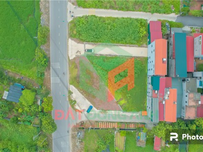 Đấu giá đình tràng dục tú đông anh ngày 23/9/2023 1