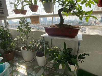 Bán căn hộ licogi 19 số 25 tân mai, 89m, 2pn, lo góc 2 ban công,  full nội thất. 3