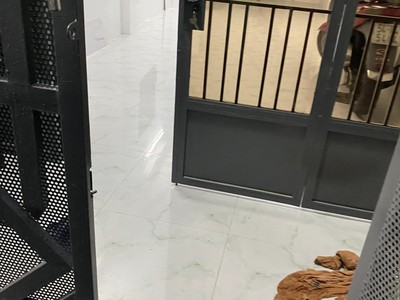 Cho thuê nhà nguyên căn gần hoàng văn thụ phú nhuận   giá thuê 10 triệu/tháng 3pn căn gốc chủ mới 4