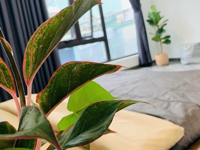 Nhà đẹp hẻm phù đổng , pleiku, gia lai 1