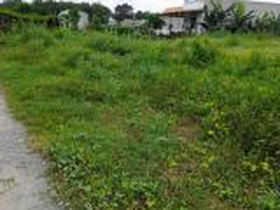 Chính chủ cần tiền bán lô đất 2 mặt tiền  Giá bán: 450 triệu 1