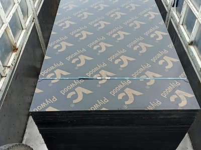 Ván Ép Cốp Pha Phủ Phim giá rẻ 240k tại NAM ĐỊNH 2