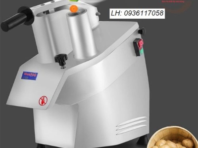 Máy cắt rau củ quả tự động HLC 300 2