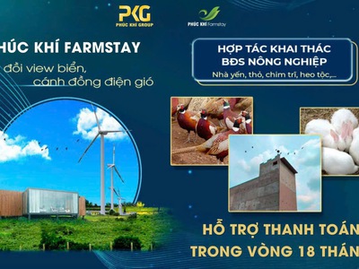 Cần bán đất Tuy Phong Bình Thuận 6900m2 ngay QL1A view biển giá chỉ 390k/m2 0