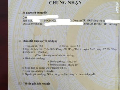 Chuyển nhượng nhà mặt đường tại thôn kiều đông, hồng thái, an dương - caophat 2