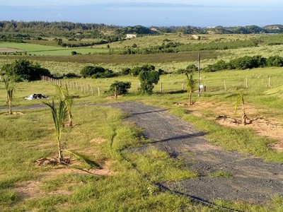 Cần xoay tiền để kinh doanh, bán mảnh đất view biển 4933m2 Tuy Phong 0