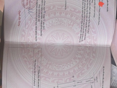 Đất giá rẻ Bình Phước tháng 9/2023 0
