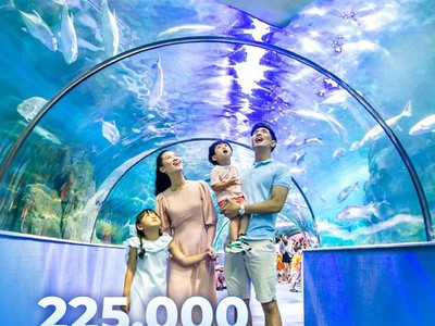 Cần sang nhượng gấp Căn Hộ Phú Quốc chính chủ giá 1.1 tỷ full 4