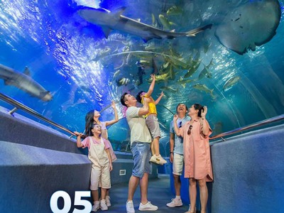 Cần sang nhượng gấp Căn Hộ Phú Quốc chính chủ giá 1.1 tỷ full 7