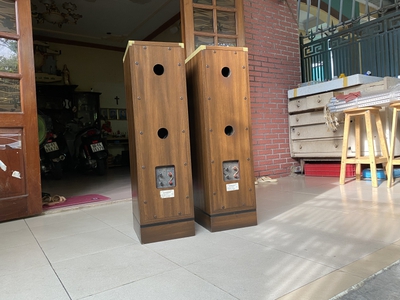 Loa pioneer s-99T đẹp xuất sắc 11