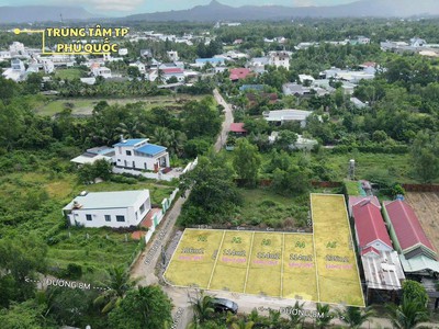 Loa pioneer s-99T đẹp xuất sắc 8